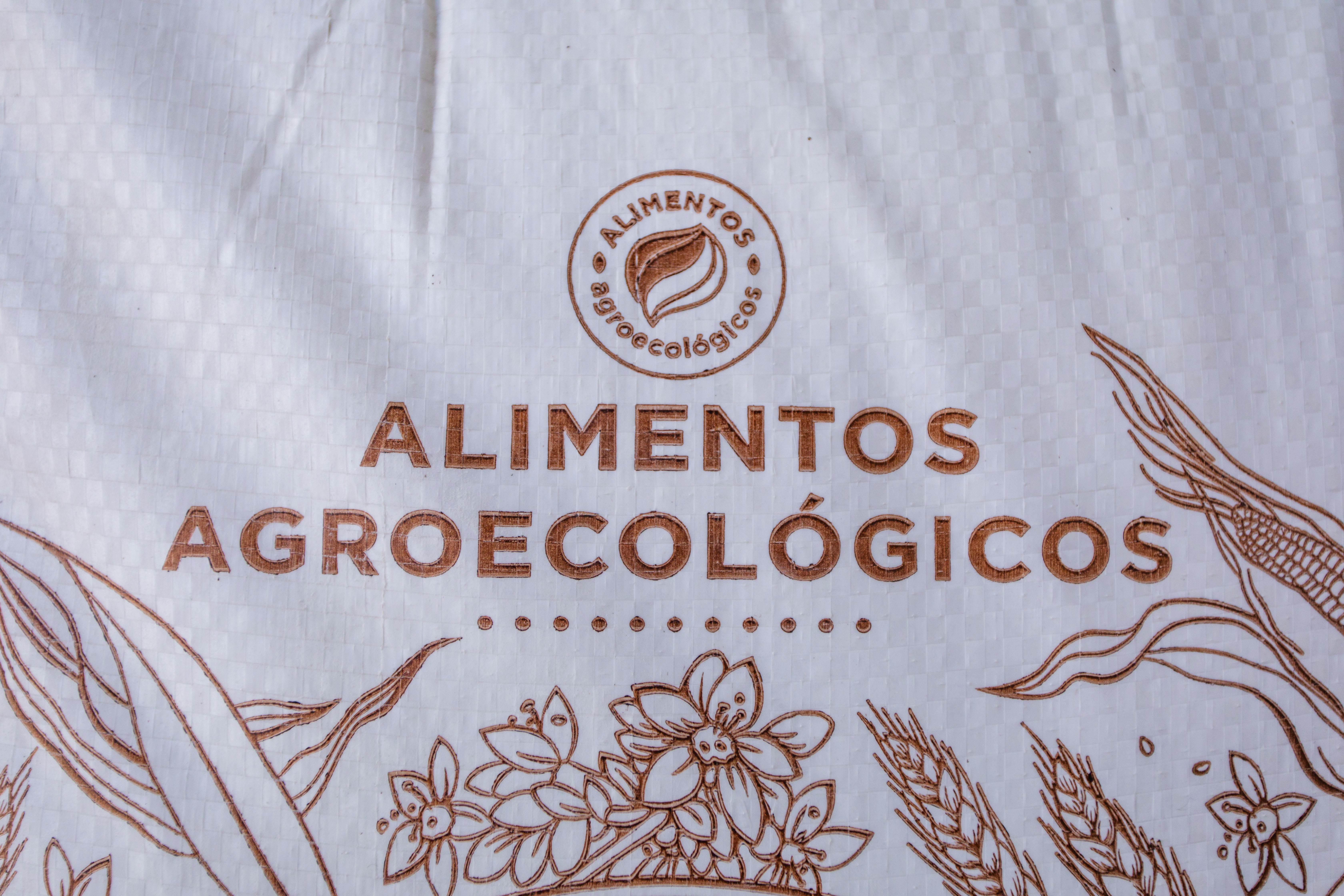 Equipo actual